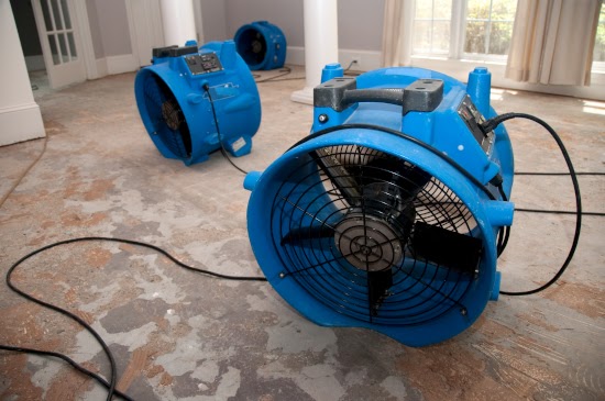 5 Tips for Choosing the Best Water Damage Repair Contractor